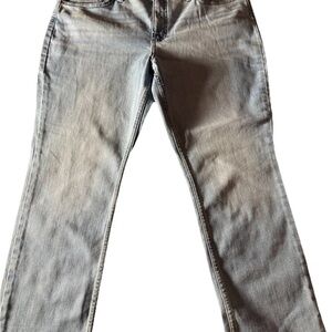 NWT Lee Straight Leg Mid-Rise Jeans Size 16P